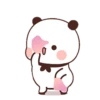 panda 23