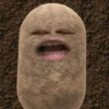 kentang is potato 17