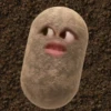 kentang is potato 19