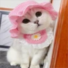 Gatinhos fofos 20
