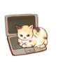 Gatitos cute 14
