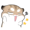 Pudding Hamster 15