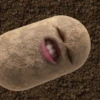 kentang is potato 21