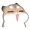 Pudding Hamster 16