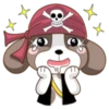 Pirate 14