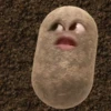 kentang is potato 22