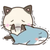 Cats and Shark 18