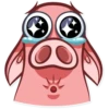 Pete The Pig 21