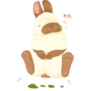 Rabbits 16