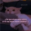 michis con frases 8
