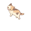 Gatitos cute 16