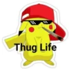 Pikachu 24