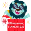 *
甥
3
Shop now,
PAYLATER
*