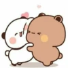 Pandacute 19