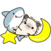 Cats and Shark 19