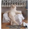 Stickers variados 20