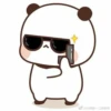 Pandacute 20