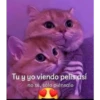 Tu y yo viendo pelis así
no sé, sólo piénsalo