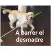 A barrer el
desmadre
