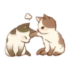 Gatitos cute 19
