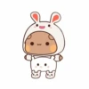 Pandacute 21