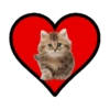 Corazones con Amor 24