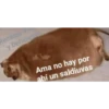 Stickers variados 23