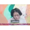 (elle/él)
TU PUBLICACIÓN HIZO LLORAR AL COMPAÑERE