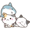 Cats and Shark 21