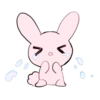 rabbits and girls 16
