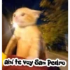 ahí te voy San Pedro