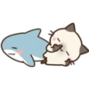 Cats and Shark 24