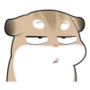 Pudding Hamster 24