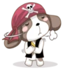 Pirate 17