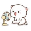 Peach Goma Cats 26