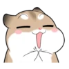 Pudding Hamster 27
