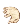 Gatitos cute 22