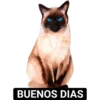 BUENOS DIAS