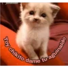 Stickers variados 27