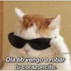 michis con frases 11