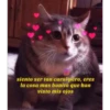 michis con frases 12
