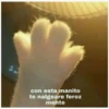 michis con frases 13