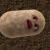 kentang is potato 27