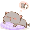 Peach Goma Cats 30