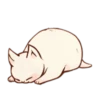 Gatitos cute 23