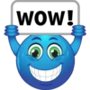 Blue Smiley 2 Clásica 27