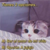 michis con frases 14