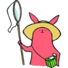 Pink Rabbit 29