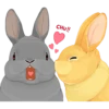 Rabbits 27