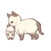 Gatitos cute 24